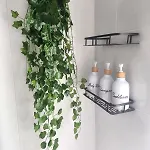 דירה Acogedora Y Con Encanto En Centro De *